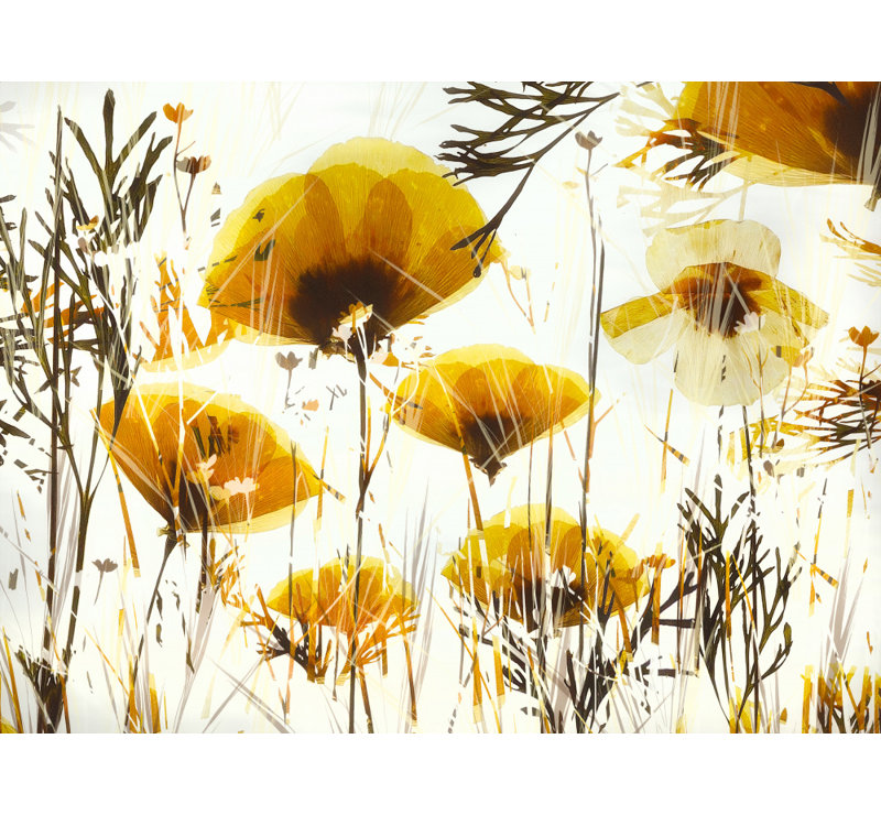 Wrapped Canvas Print, 50.8 cm H x 76.2 cm W