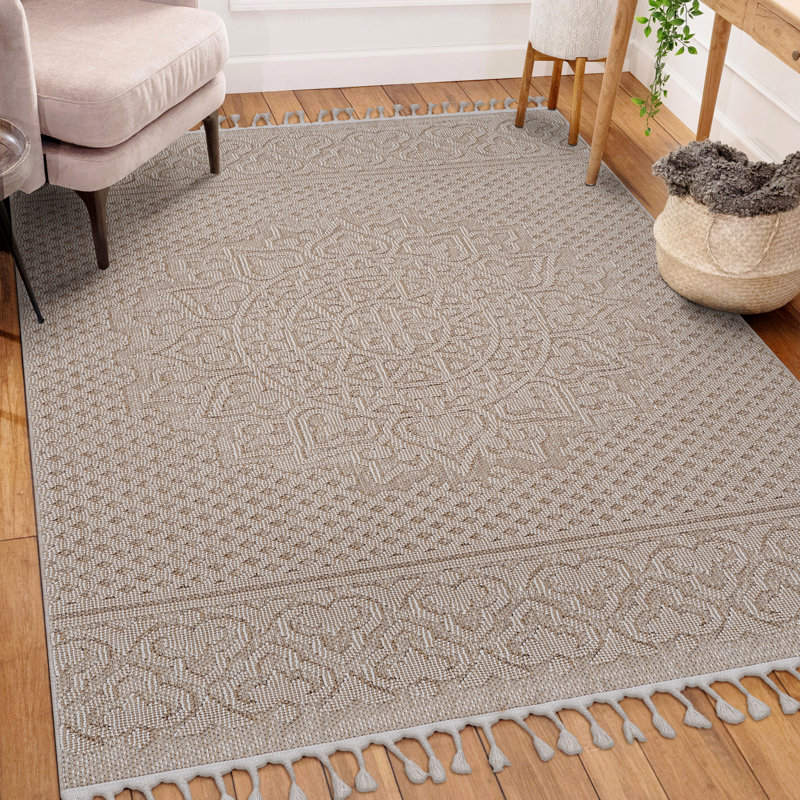 Indoor/Outdoor Area Rug
