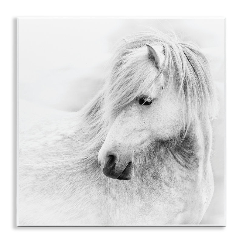 «Gazing Toned Horse», art par PHBurchett