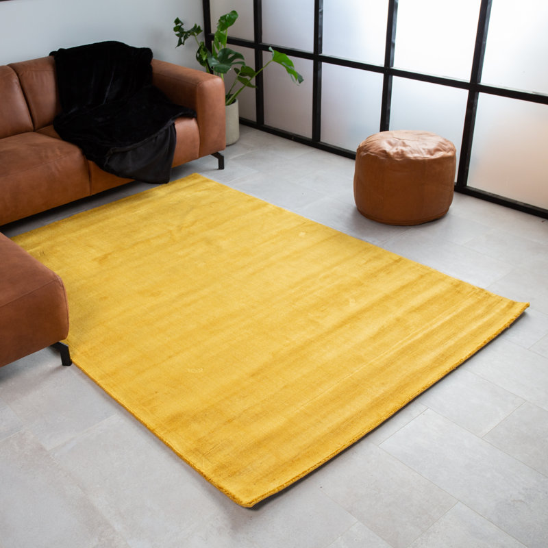 Anuska Solid Colour 160cm X 230cm Area Rug