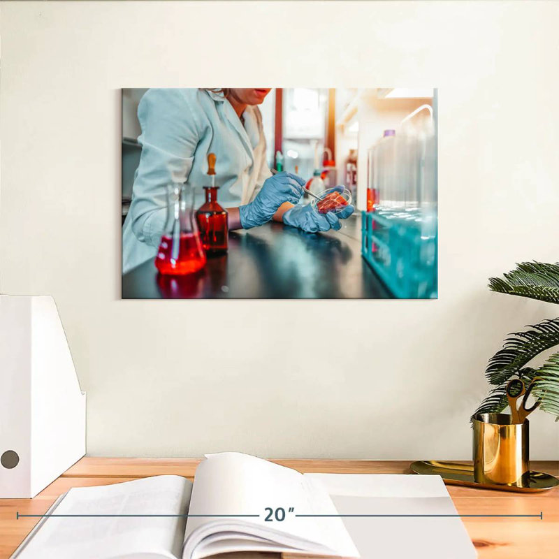 Keiri Laboratory, 8" H x 12" W