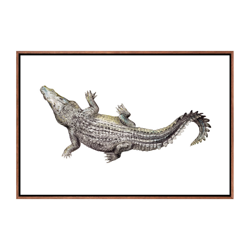 Croc par Wandering Laur - impression d'art graphique, Pas de tapis, Toile avec cadre brun, H 18 po x l 26 po x 1,5 po