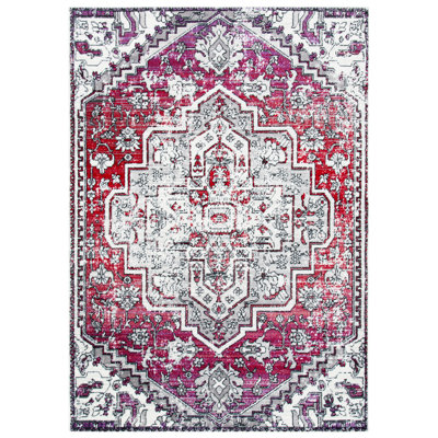 Skyler Performance Oriental Rug