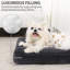 Lits pour chien Eibhlis-1542043869-1542043870