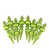Vert kiwi est en rupture de stock