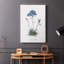 Caladrinia - Galeria Cavas-1766029141
