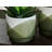 Gelen Ceramic Pot Planter