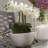 Phalaenopsis Silk Arrangement with Vase