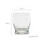 Manhattan Whisky Glasses