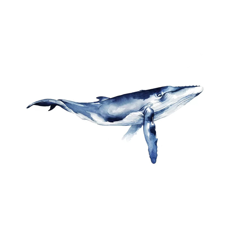 Whale Portrait I by Grace Popp - Wrapped Canvas Painting, 20.32 cm H x 30.48 cm W