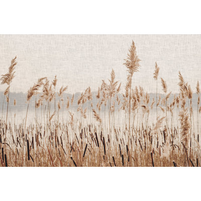 Dried Pampass Grass - Print