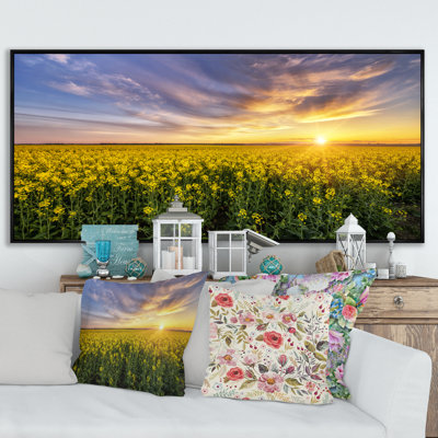 " Sunset Rape Fields "