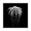 «Elephant II», reproduction de photo sur toile-29172431-72779121-72779122