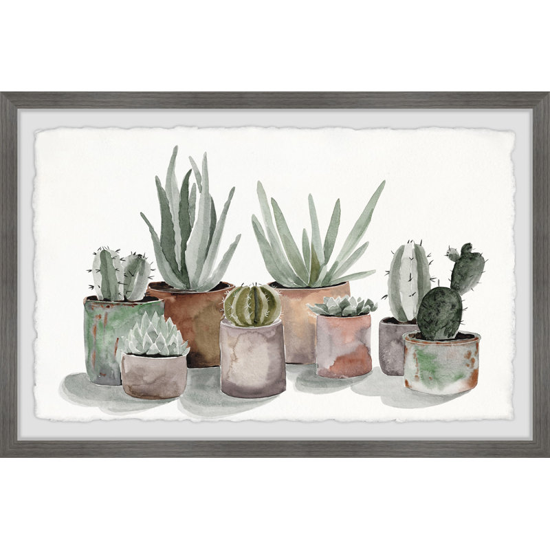 «Pastel Succulent Vases», reproduction encadrée, H 8 po x l 12 po x P 1,5 po