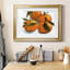Toile encadrée de qualité supérieure Citrus Grouping II - prête à être accrochée-497988068-497993286-497993288
