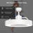 Lafleur 23'' Ceiling Fan with LED Lights