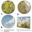 Chèvre, motifs d'art de pâturages II - Chèvre-705347178-705347219