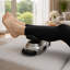 Machine de massage Carepeutic Shake-O-Max