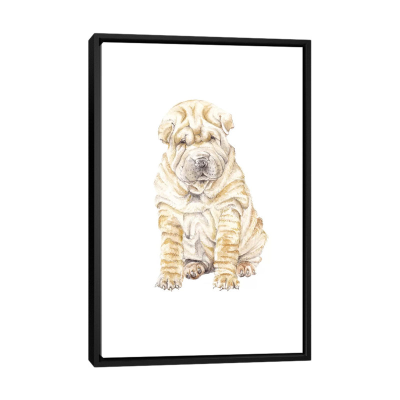 «Shar Pei», reproduction sur toile, H 26 po x l 18 po x P 1,5 po, Toile avec cadre noir, Pas de tapis