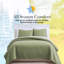 Ensemble de courtepointe surdimensionnée Vilano de Southshore Fine Linens, literie matelassée légère en microfibre doublement brossée et 2 taies d'oreiller, grand lit/queen, vert sauge-1368851787-1368851791