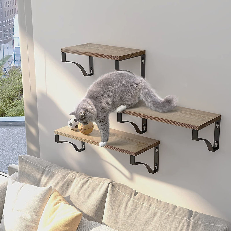 Addiena 3 Piece Paulownia Solid Wood Floating Shelf, Retro Color