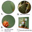 Cactus jade juxtaposition - impression d'art mural de cactus-95875917-95875919