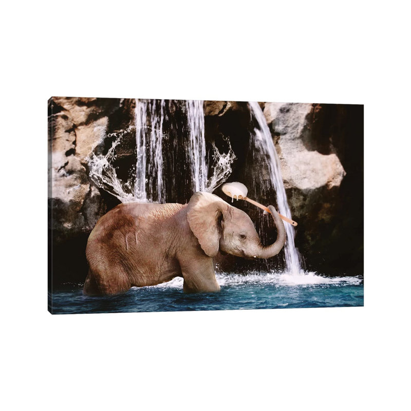 Baby Elephant Bath by Karen Burke - Wrapped Canvas Print, 20.32cm H x 30.48cm W x 1.905cm D