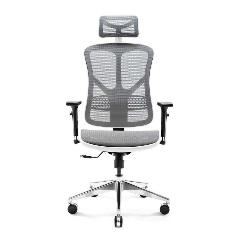 Office Chair, Gray/White