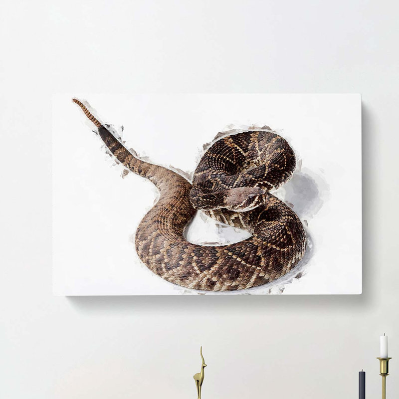 Close to a Rattle Snake in Abstract - Wrapped Canvas, 35cm H x 50cm W x 3cm D