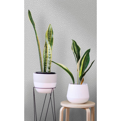 Beige Dotted Plain Simple Textured   Shelf Liner Wallpaper (57Sq.Ft)  Double Roll