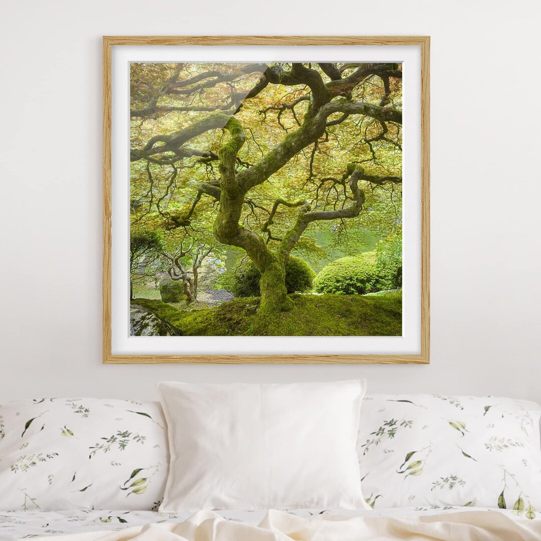 Gerahmtes Poster Green Japanese Garden