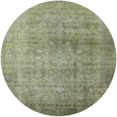 Ahmiah Oriental Indoor Rug