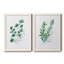 Freshly Picked I - Ensemble de 2 peintures sur toile encadrées-1667209248-1667209259