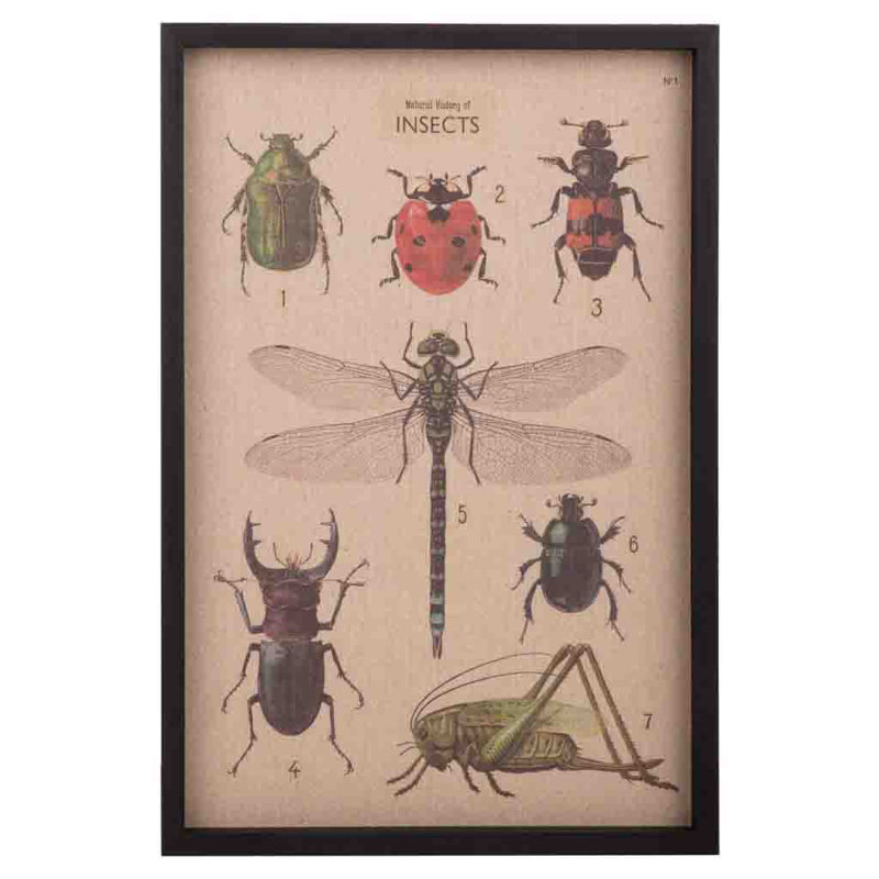 Single Picture Frame Print