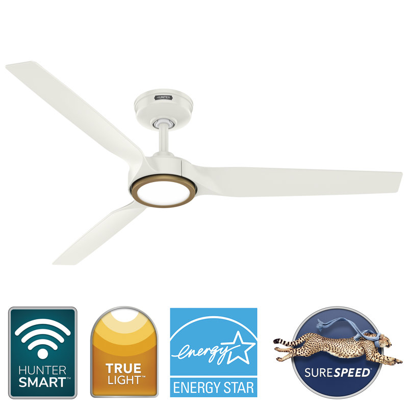 Hunter 52 inch ZenTech 3-Blade  Wi-Fi ENERGY STAR® Damp Rated Ceiling Fan with LED Light Kit and Handheld Remote, White, 52"