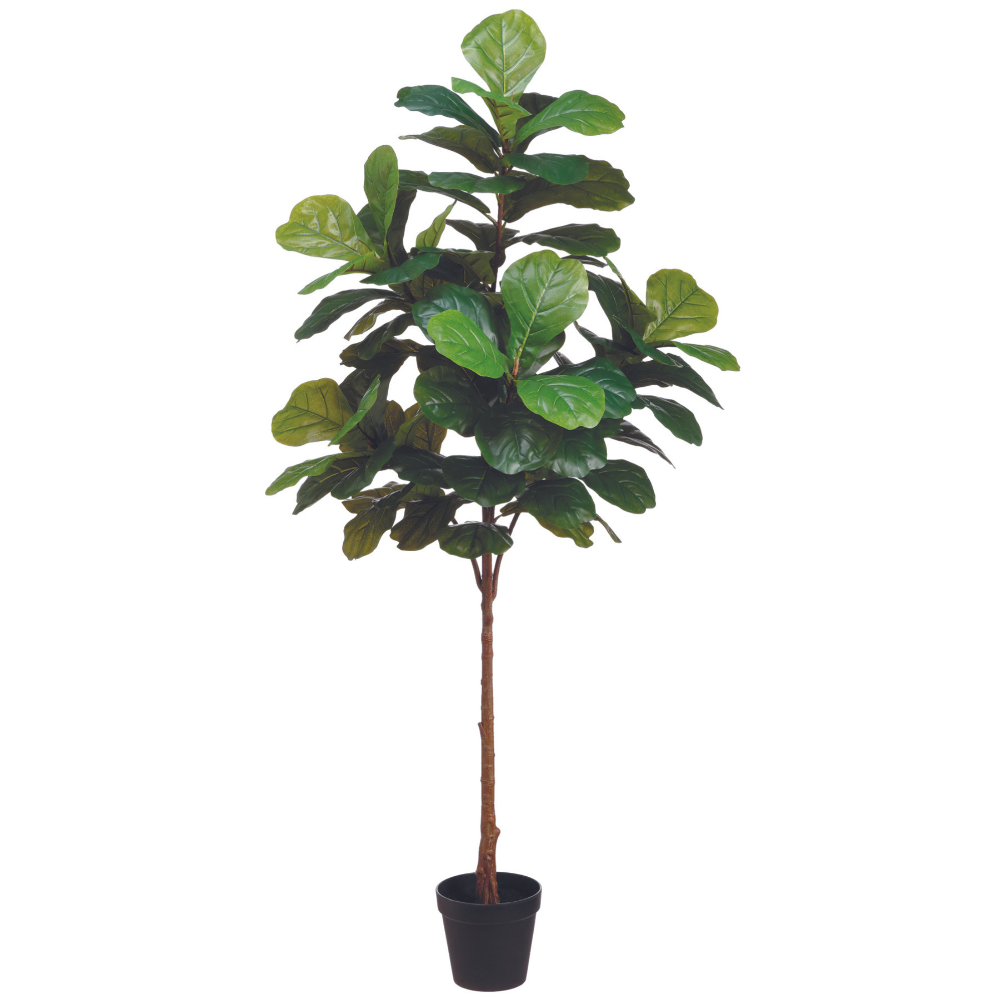 Primrue Rincon Fiddle Leaf Fig Tree Drop-In | Wayfair