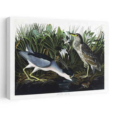 Audubon Night Heron Abstract Bird Coastal Landscape Art