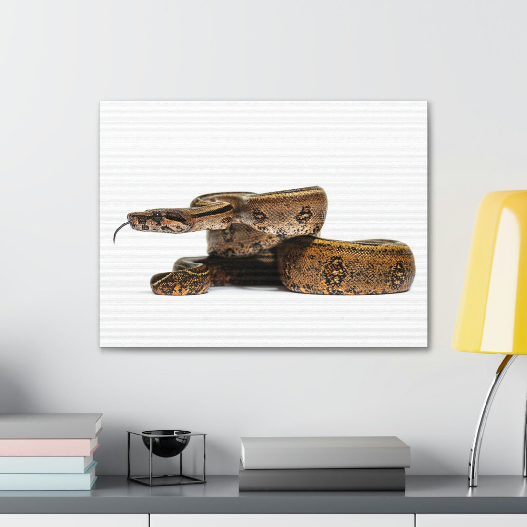 No Frame Print on Canvas