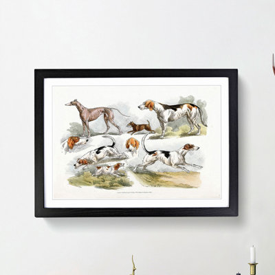 Hunting Dogs by Henry Alken - Picture Frame Painting Print