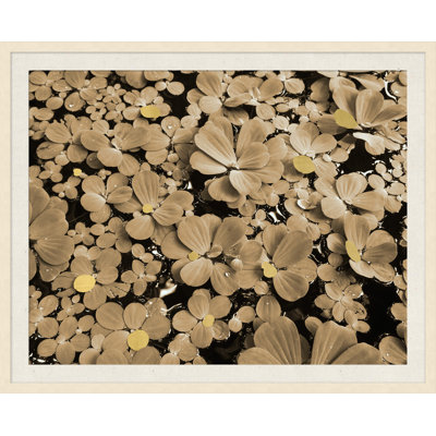 Floating Petals' Framed Photographic Print on Glass