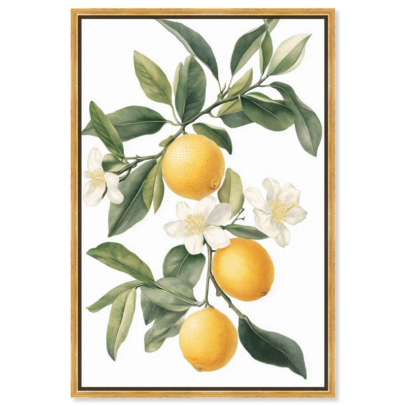 «Lemon and Leaf Fusion II», reproductions sur toile par Art Remedy, H 37 po x l 25 po, Cadre flottant doré