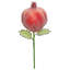 Christmas Pomegranate Pick , 10 Inches