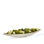 Greenery Faux Succulent Plant in Ceramic Pot