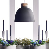 Frank 1 - Light Single Pendant