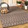 Geometric Indoor / Outdoor Area Rug