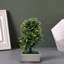 27cm Faux Bonsai Topiary in Vase