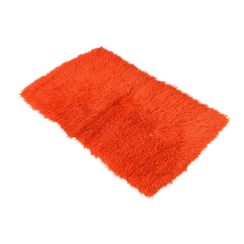 Iraheta Orange Rug