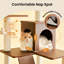 Tour pour chat 70 po-1077888263-1077888262