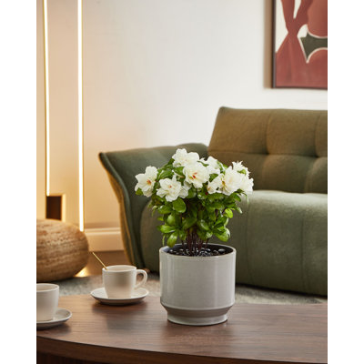 Artificial Plant NOVELLA 36 cm