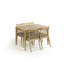 Izzie Rectangular Dining Table-35369880-35369882-35369881